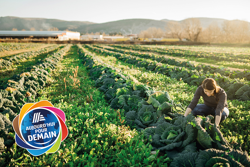 Grand champ où l'herbe est fraîchement coupée. Avec le logo Aujourd'hui pour demain d'ALDI Suisse.