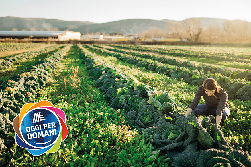 Un grande campo dove è appena stata tagliata l’erba. Con il logo Oggi per domani di ALDI Suisse.